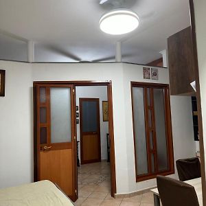 Rosy Home